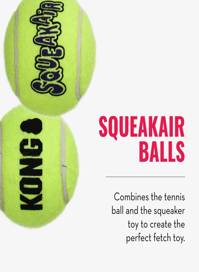 كونج مجموعة ألعاب كونغ كوزي علي التمساح وكرات سكوير إير (3 قطع) - ألعاب جلب ومضغ ممتعة للكلاب - لعبة تمساح ناعمة للعب في الأماكن المغلقة - كرات ألعاب متينة للكلاب للعب في الهواء الطلق - مناسبة للكلاب الصغيرة - Image 5